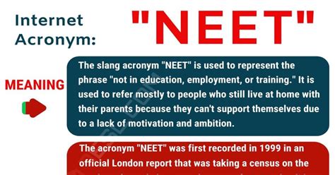 nipet meaning|Urban Dictionary: Nipet.